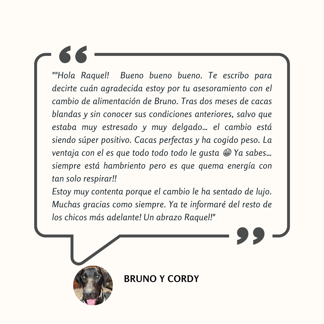 Testimonio: tras el cambio de alimentación, Bruno dejó atrás las cacas blandas y el bajo peso, ganando peso y energía