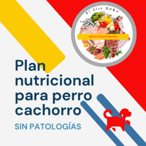 Plan Nutricional para perro cachorro