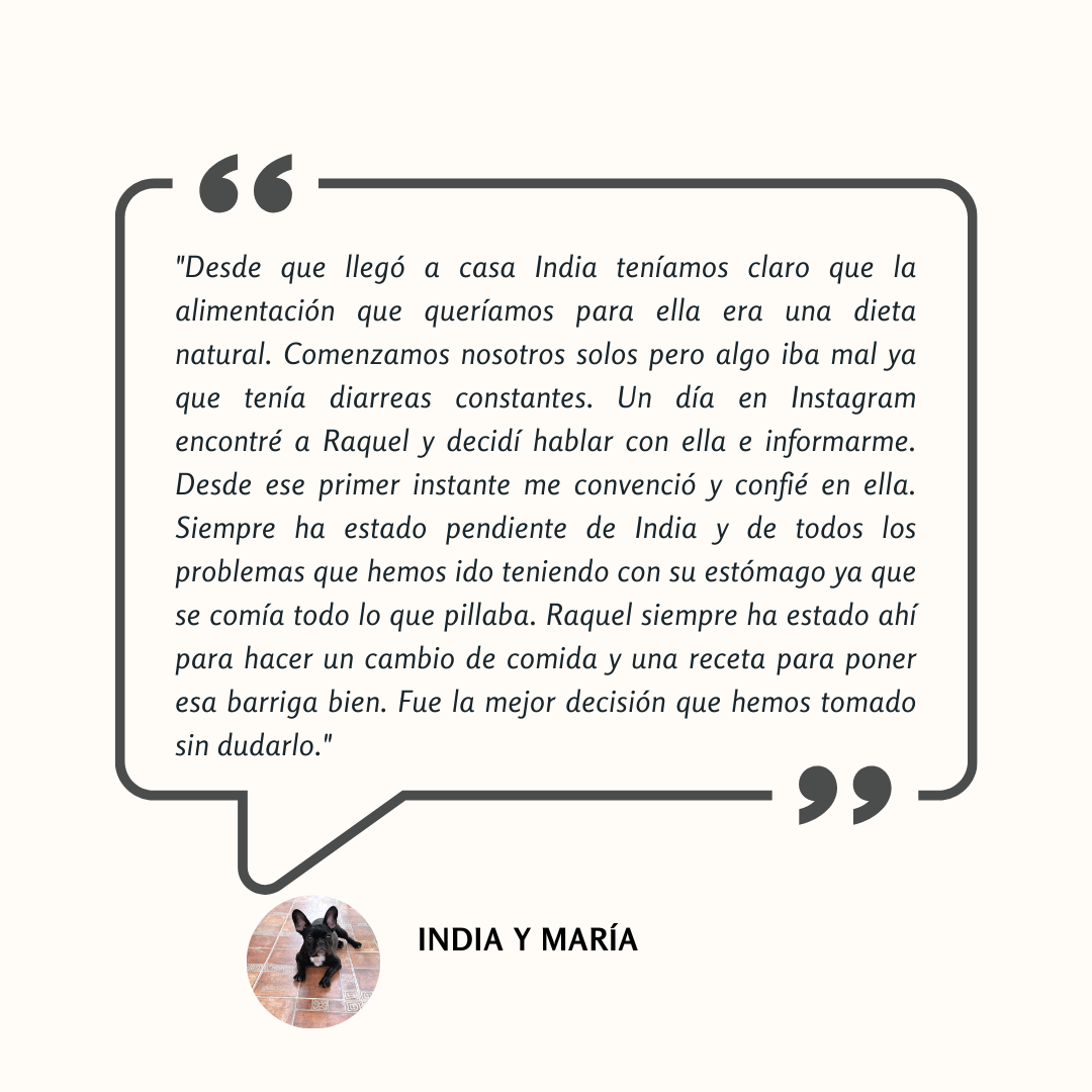 Testimonio: India dejó atrás sus diarreas constantes gracias al cambio a dieta natural guiado por Raquel