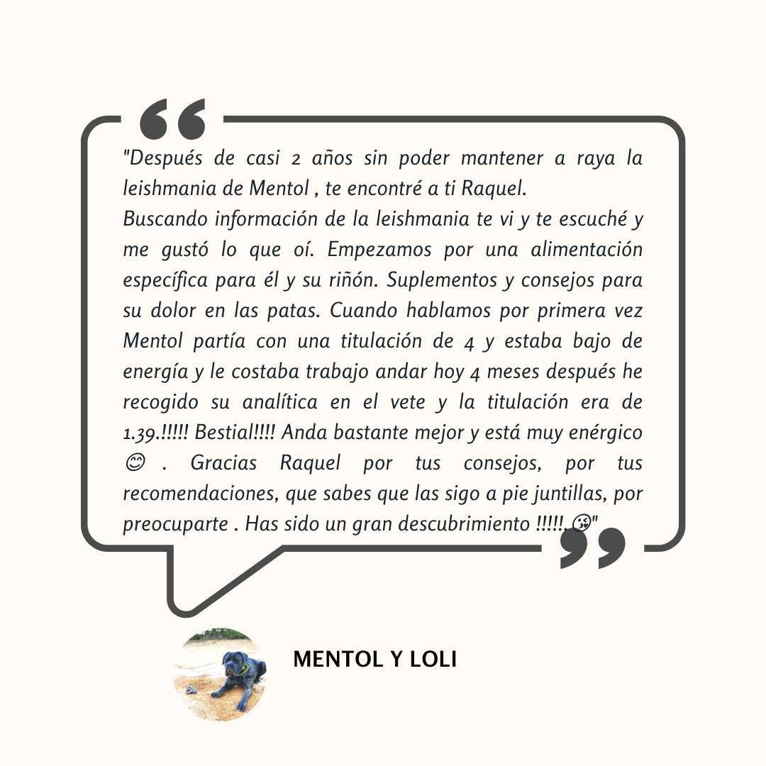 Testimonio: la titulación de leishmania de Mentol bajó de 4 a 1.39 en 4 meses con la dieta y suplementos de Raquel