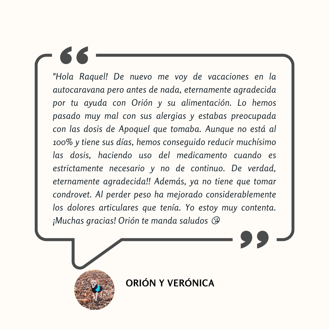 Testimonio: gracias al cambio de alimentación, Orión ha reducido drásticamente la medicación para sus alergias y dolores articulares