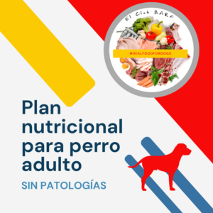 asesoría nutricional perro adulto sano