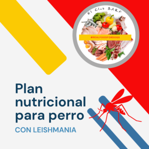 Plan Nutricional para perro con leishmania