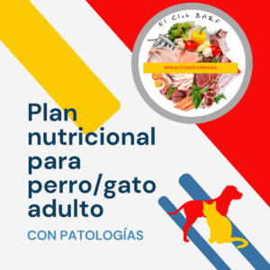 Plan Nutricional para perro y  gato con patologías
