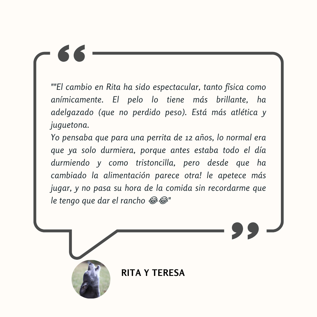 Testimonio: el cambio en Rita ha sido espectacular, más activa, alegre y con mejor pelo tras pasar a dieta natural